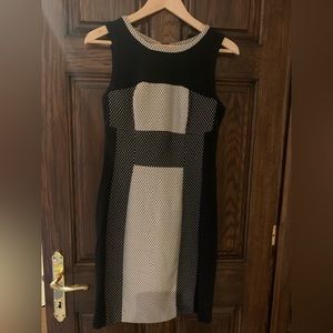 Yoana Baraschi black and white dress